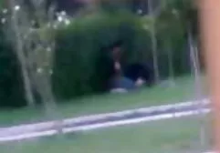 Fabricat în iran, Iran gay suceava