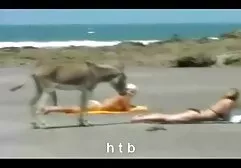 Distractiv.4. H. T. B. interacial hd xxx