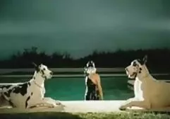 Lady Gaga. kate winslet xxx sex