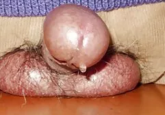Japoneze vechi penis in erectie aproape arată ebony sexi