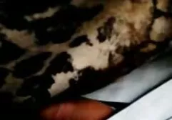 Autobuz-apăsați trei shelma porno