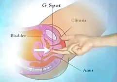 Sperma (ejacularea feminină) se mai numește vy. xxx alina plugaru